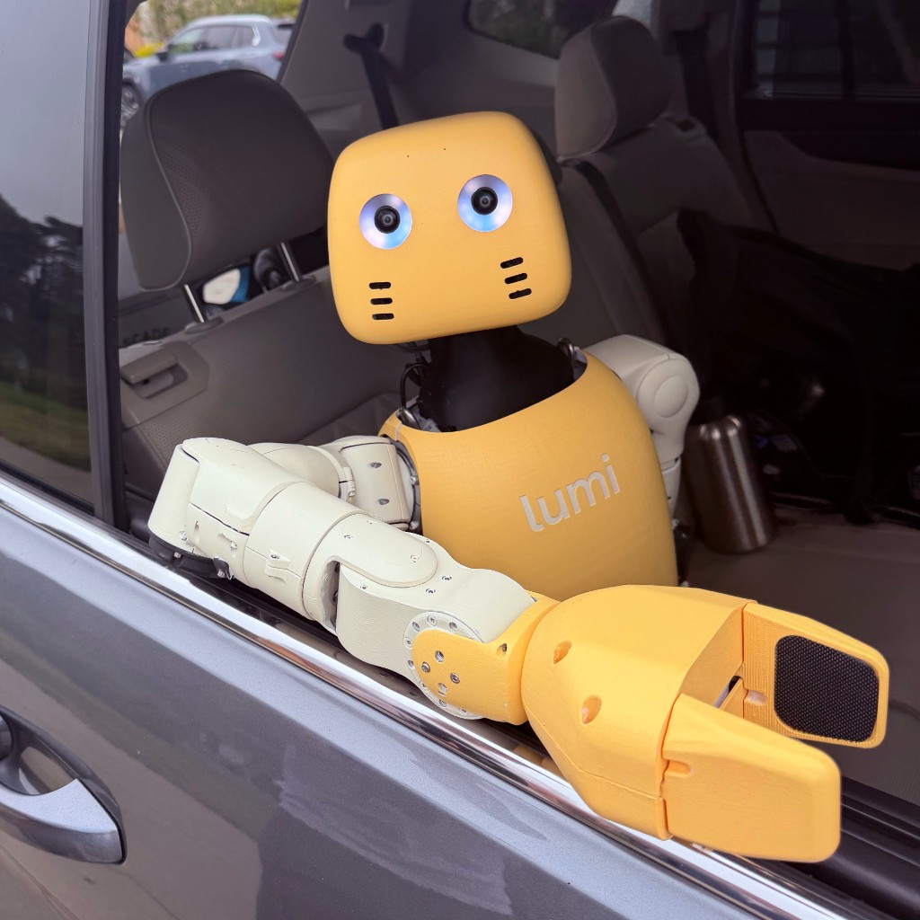 Lumi sitting in the back seat of a car, looking out an open window